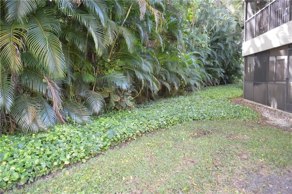 Vegetation Outside Screened Lanai