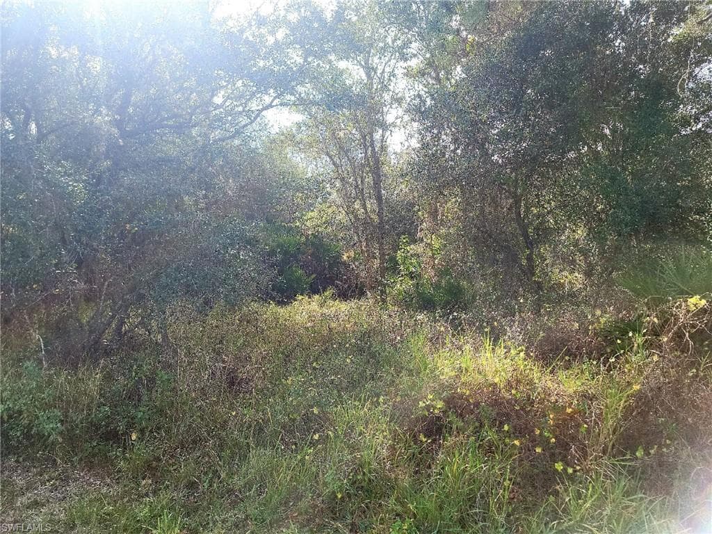 Ute AVE photo 5 of 5