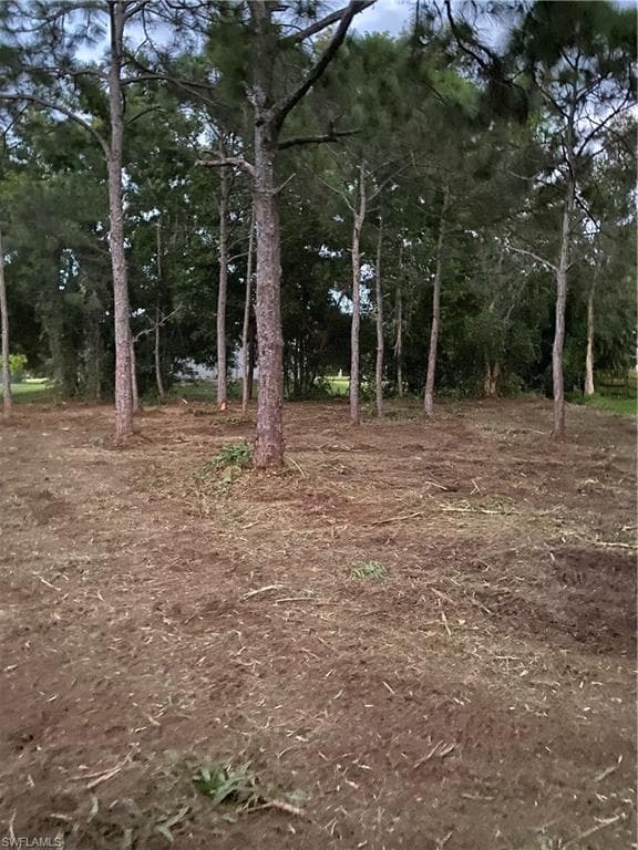 Photos from land clearing in November 2022