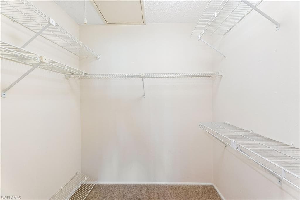 Walk in closet with carpet floors