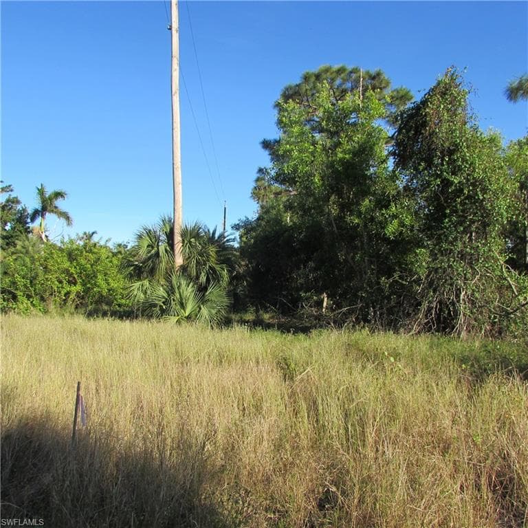 View of local wilderness