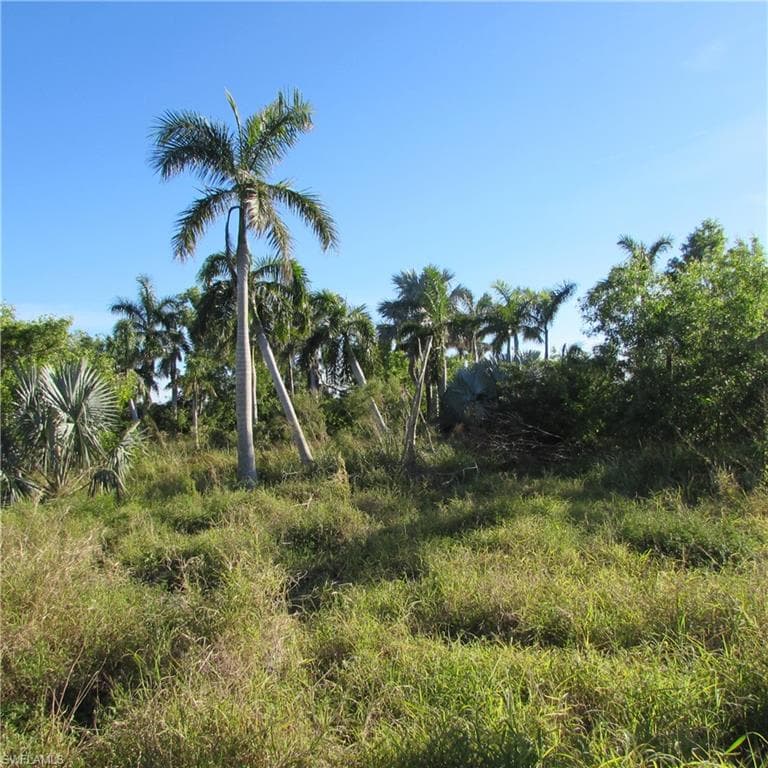 View of landscape