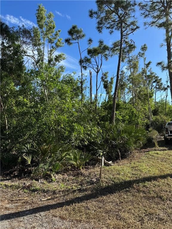 7001 Guava AVE photo 7 of 11