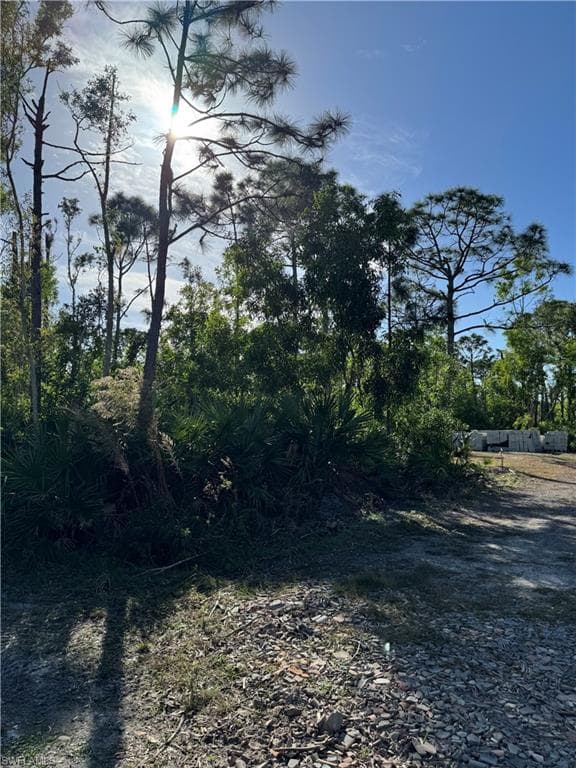 7001 Guava AVE photo 9 of 11