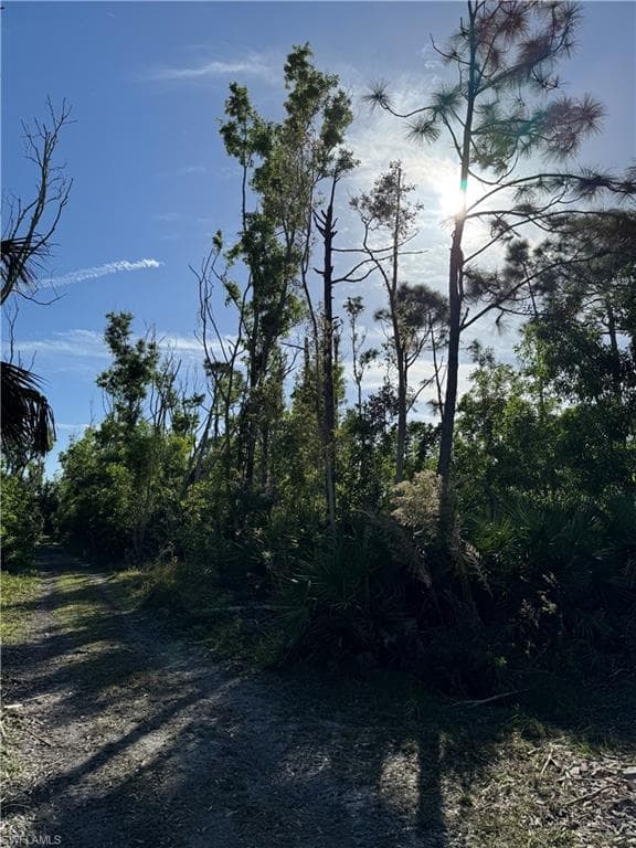 7001 Guava AVE photo 10 of 11