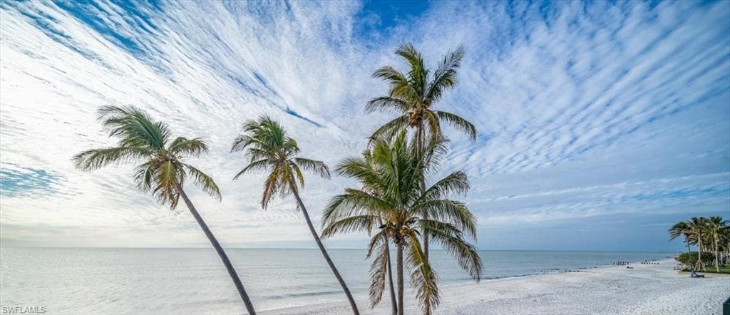 Northern Beach View.