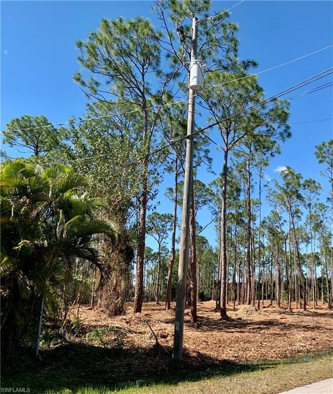 View of local wilderness