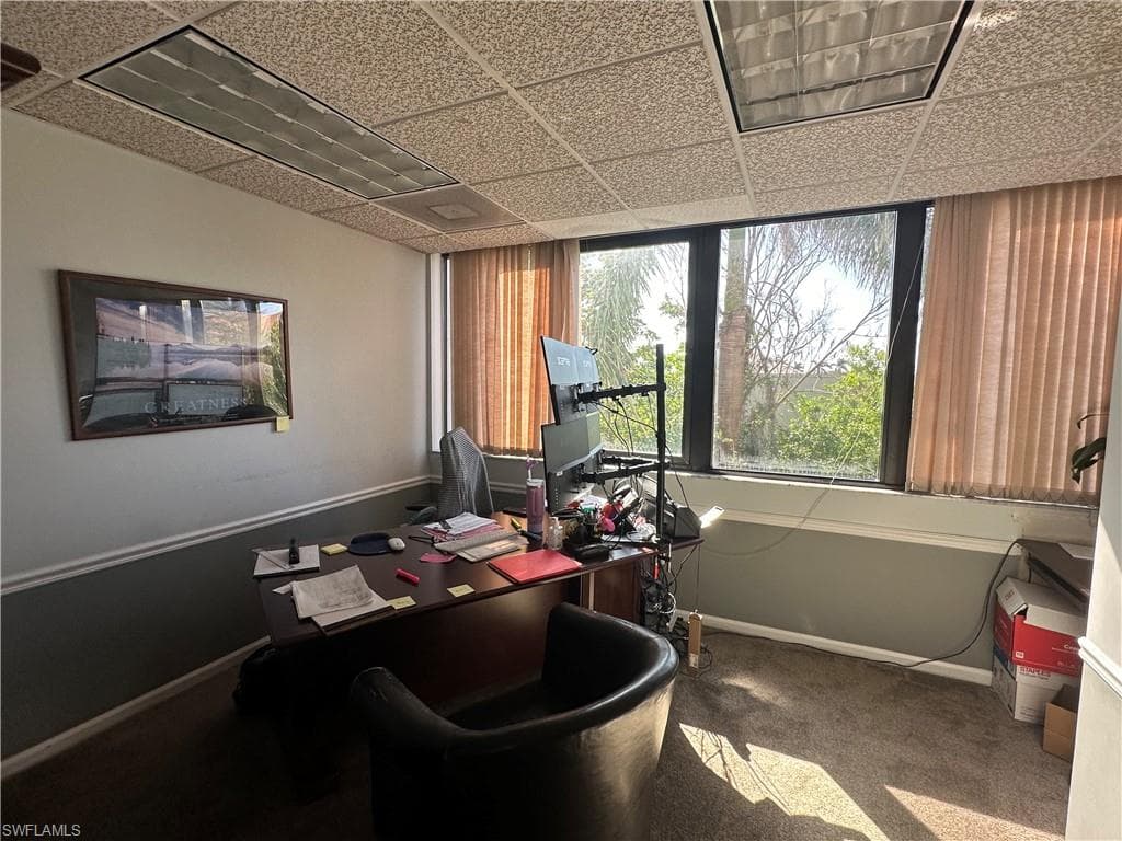 Office space featuring carpet floors and a drop ceiling
