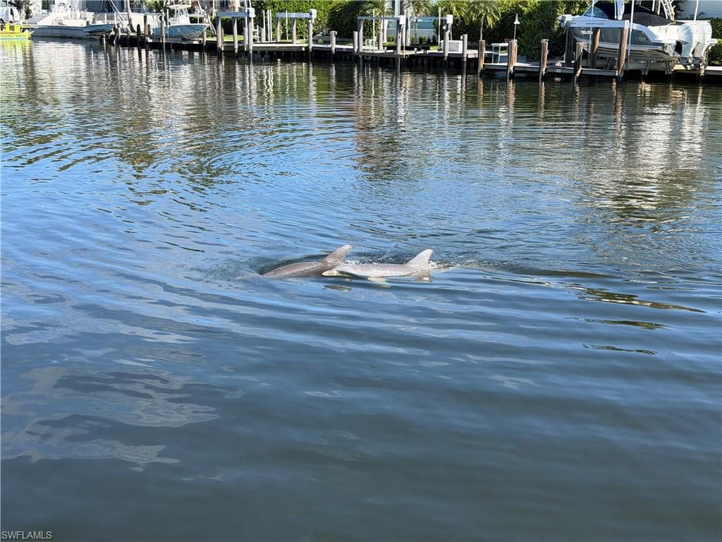 Dock area featuring a water view