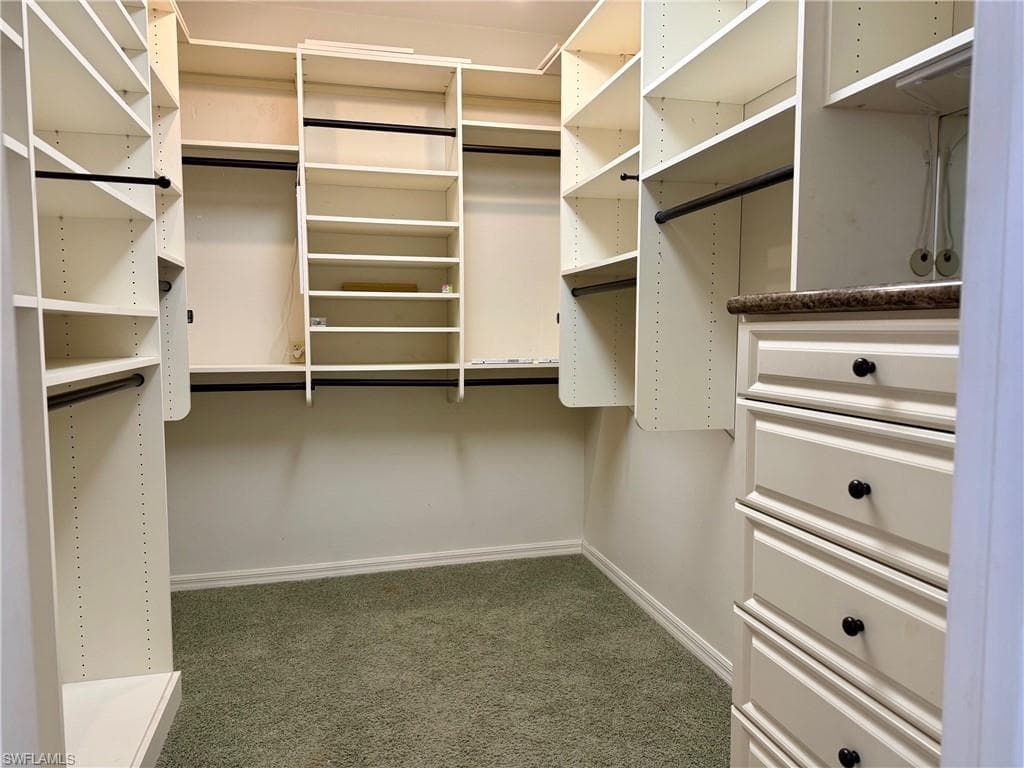 Spacious closet featuring carpet flooring