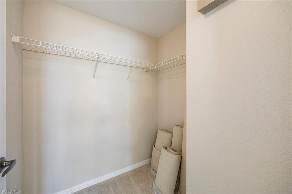 Spacious closet with light carpet