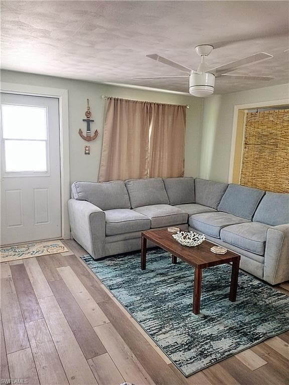 Living room featuring wood finished floors