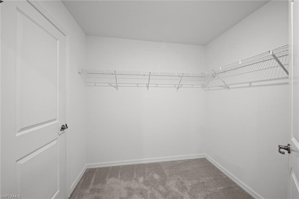 Walk in closet with carpet flooring