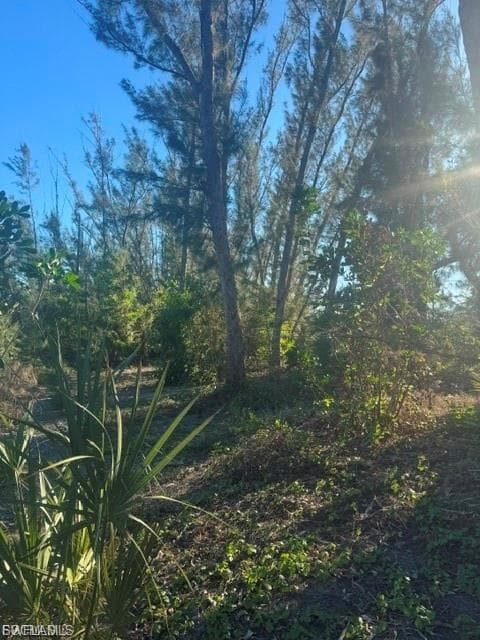 3666 Stabile RD photo 6 of 8