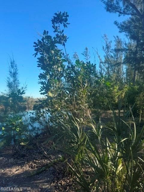 3666 Stabile RD photo 7 of 8