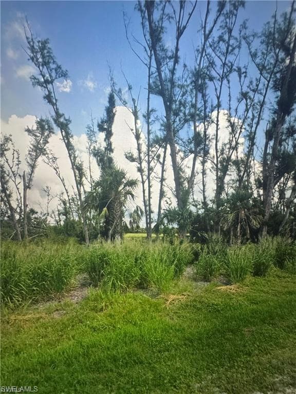 3666 Stabile RD photo 8 of 8