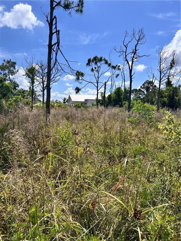 View of undeveloped land