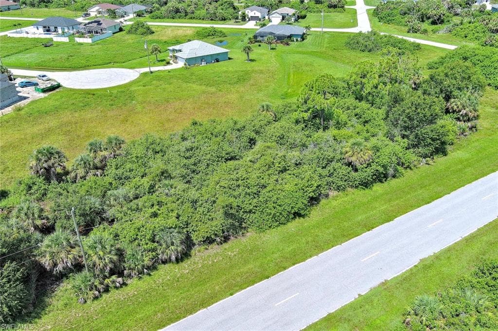Bird's eye view of a tree filled landscape