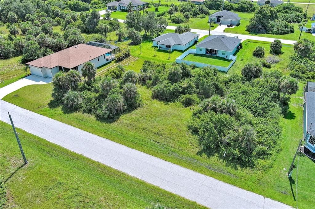 Bird's eye view of a tree filled landscape