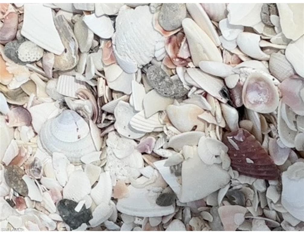 Seashells on Beach