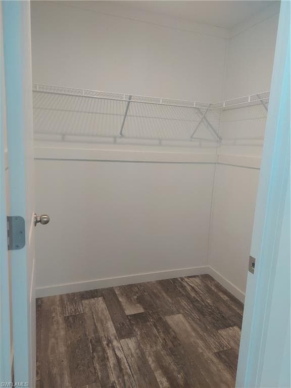 Large walk-in closet in guest bedroom