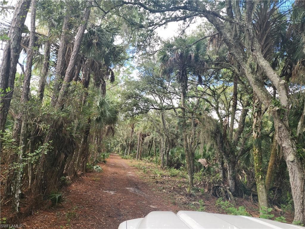 View of street featuring a wooded view