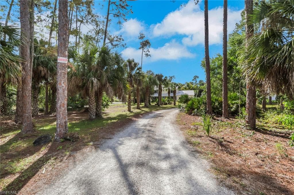 Home is nicely set back with a long driveway and palm trees along the driveway - You will fall in love the moment you pull up