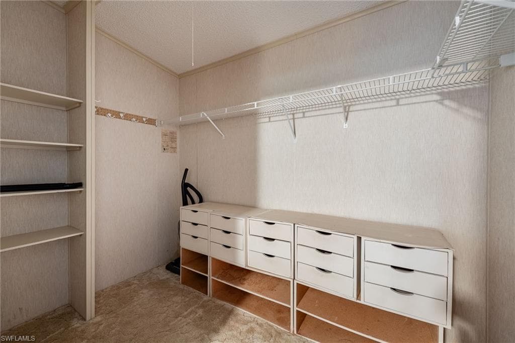 Walk in closet featuring light colored carpet