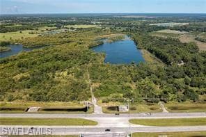 Aerial view of a large body of water and a forest