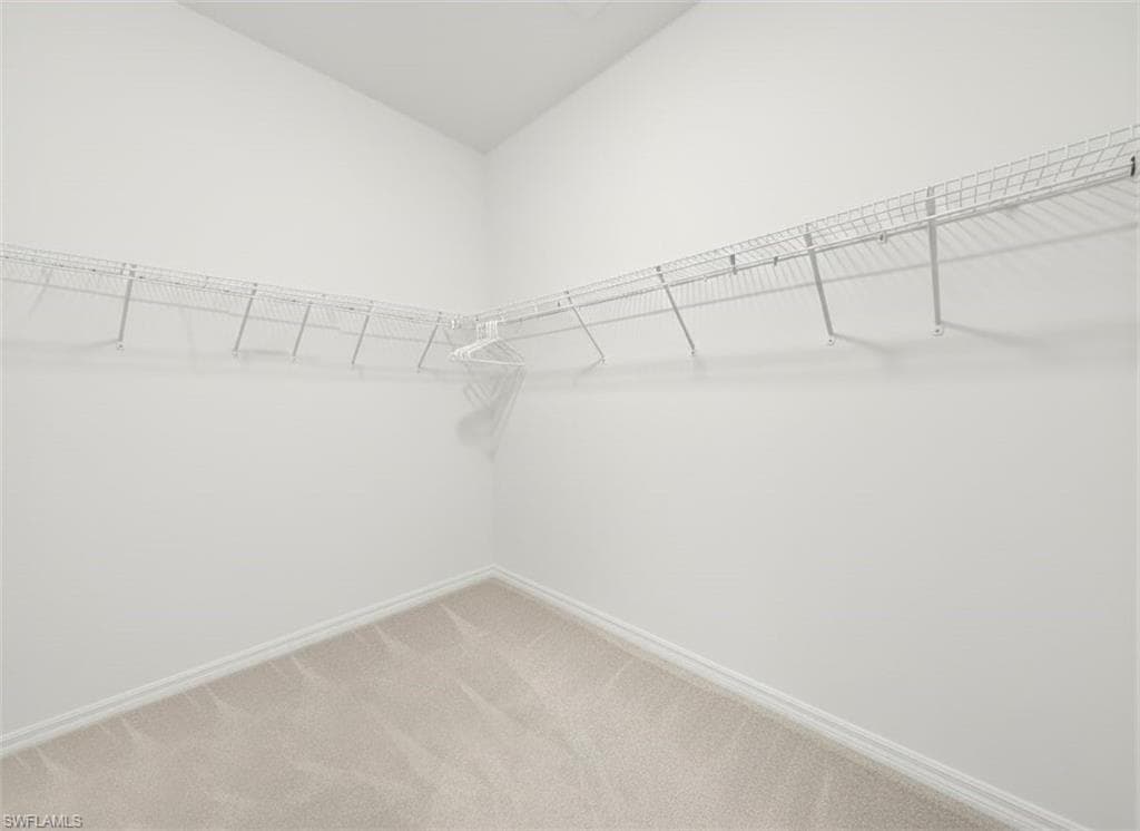 Spacious closet featuring light carpet
