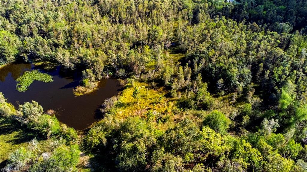 Bird's eye view of a large body of water