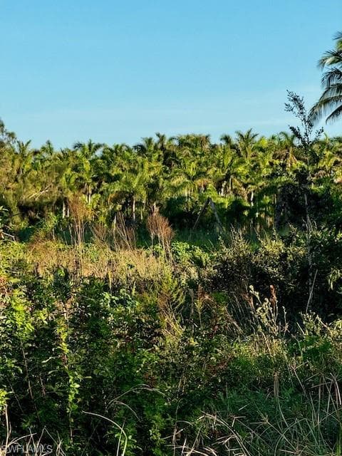 View of nature