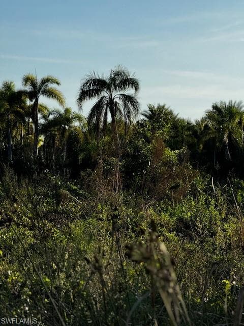 View of nature