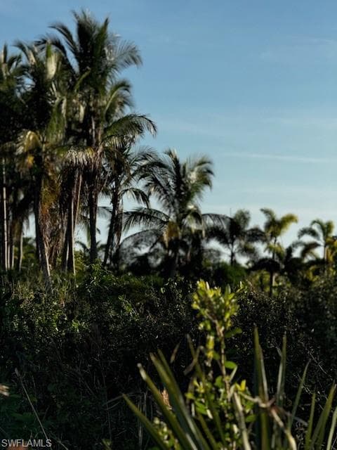 View of landscape