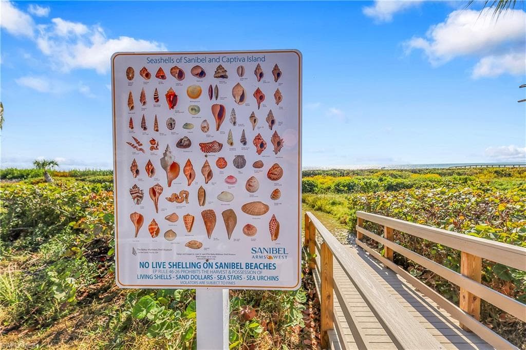 Wondering just what shells you'll find today?