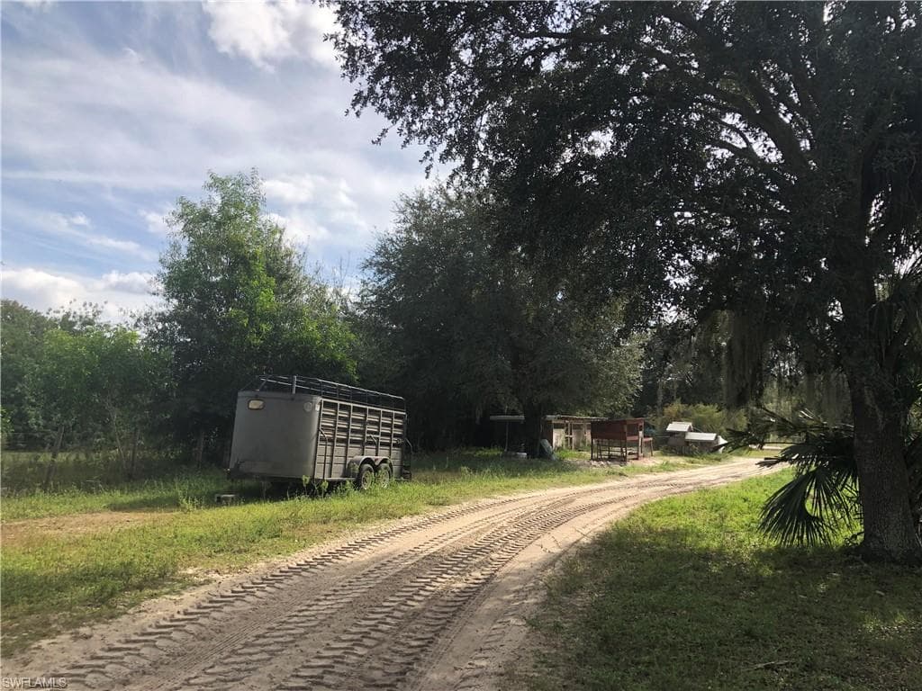 OAK LINED DRIVE