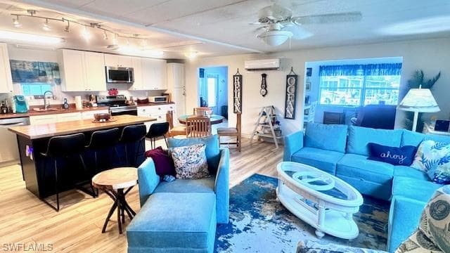 Living area with plenty of natural light, light wood-type flooring, rail lighting, and a ceiling fan