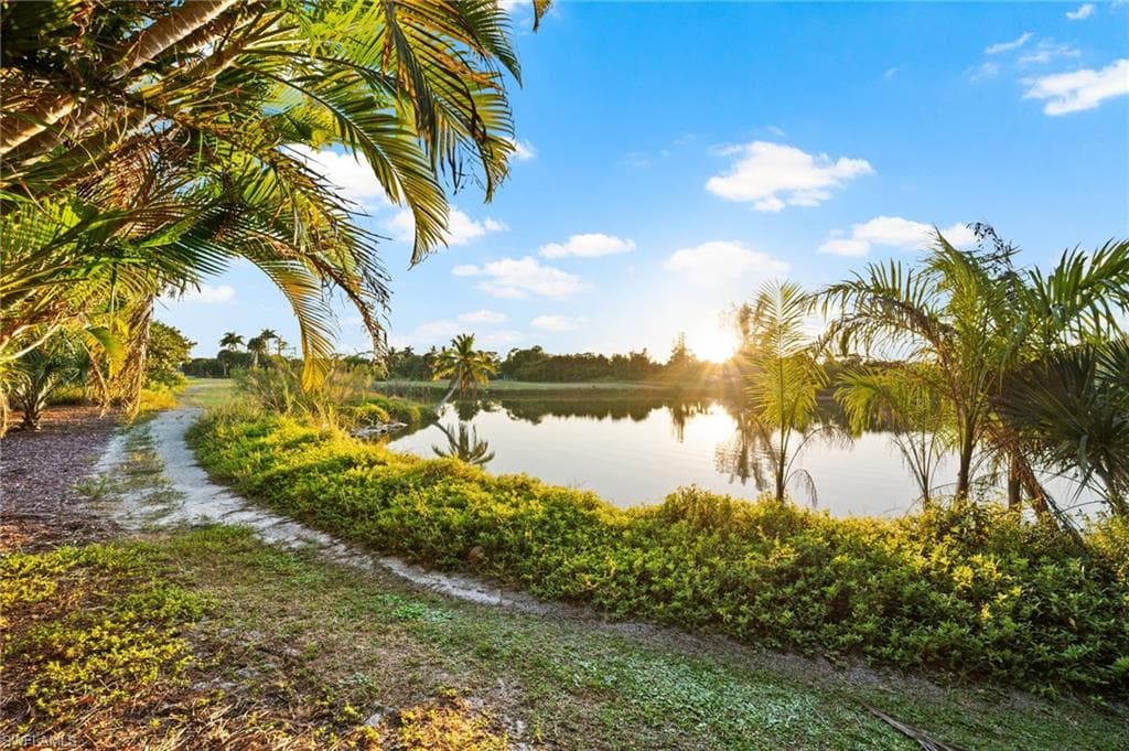 This is in your backyard !! Beautiful walking trails and lots of Wildlife!!