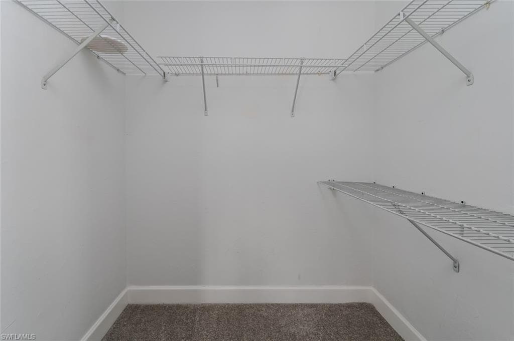 Walk in closet featuring carpet