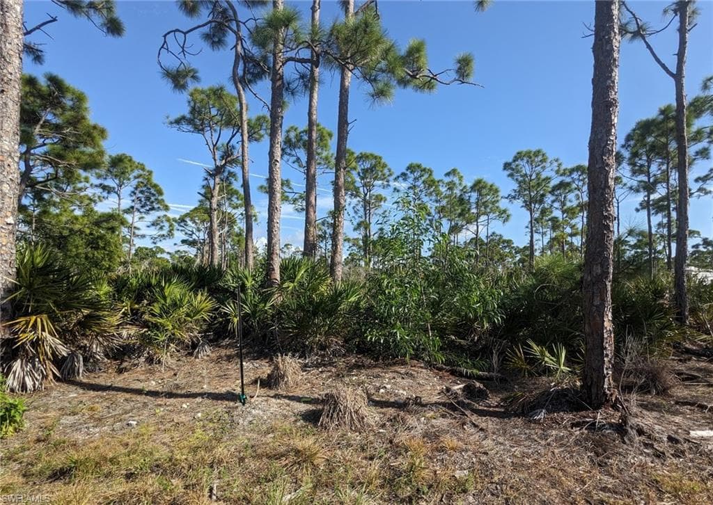 4159 Sunshine BLVD photo 6 of 45