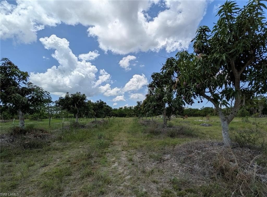 4159 Sunshine BLVD photo 12 of 45