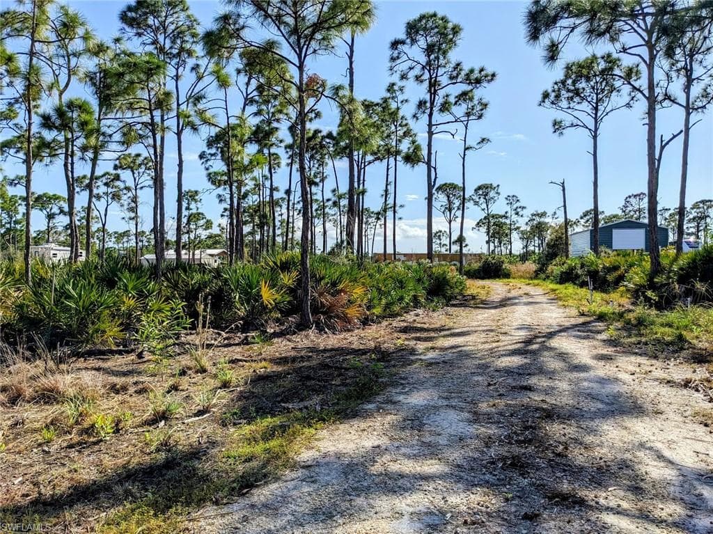 Gravel road already paved to clearing.