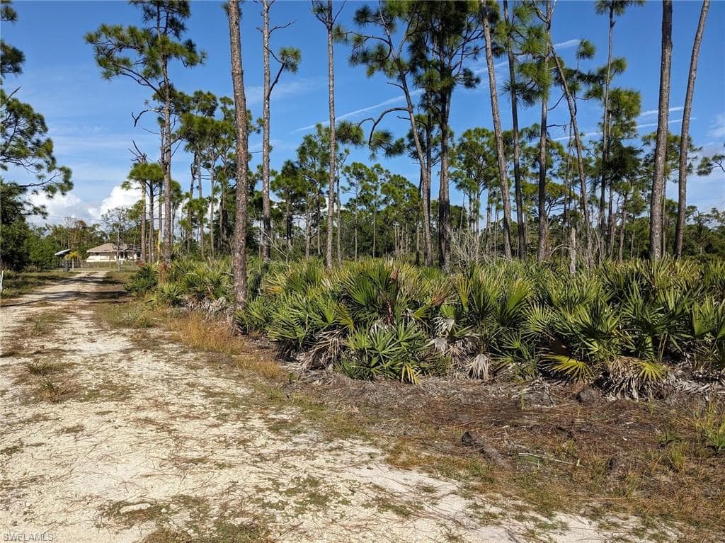 4159 Sunshine BLVD photo 9 of 45