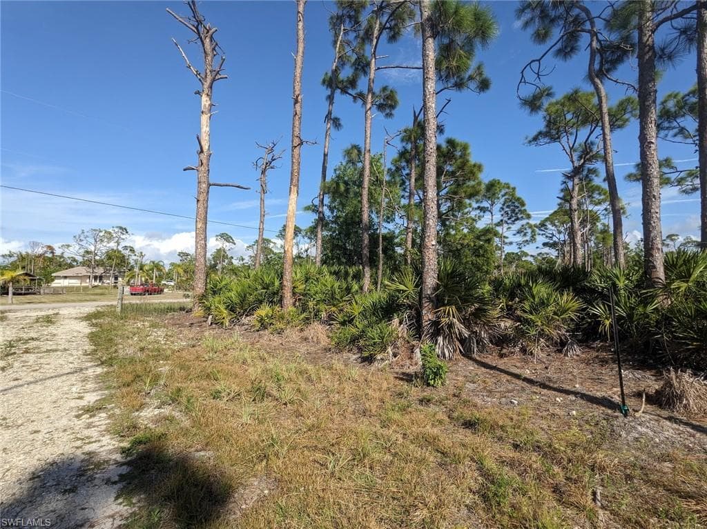 4159 Sunshine BLVD photo 10 of 45