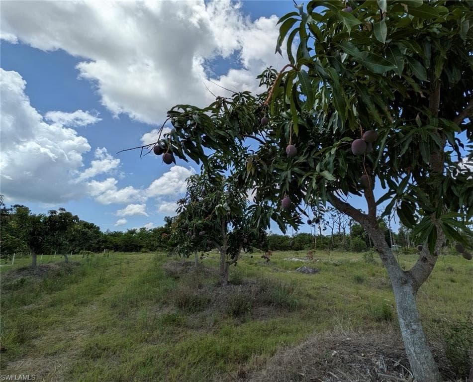 4159 Sunshine BLVD photo 11 of 45
