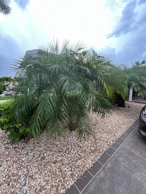 5465 Cypress Trail Resort CIR photo 15 of 32