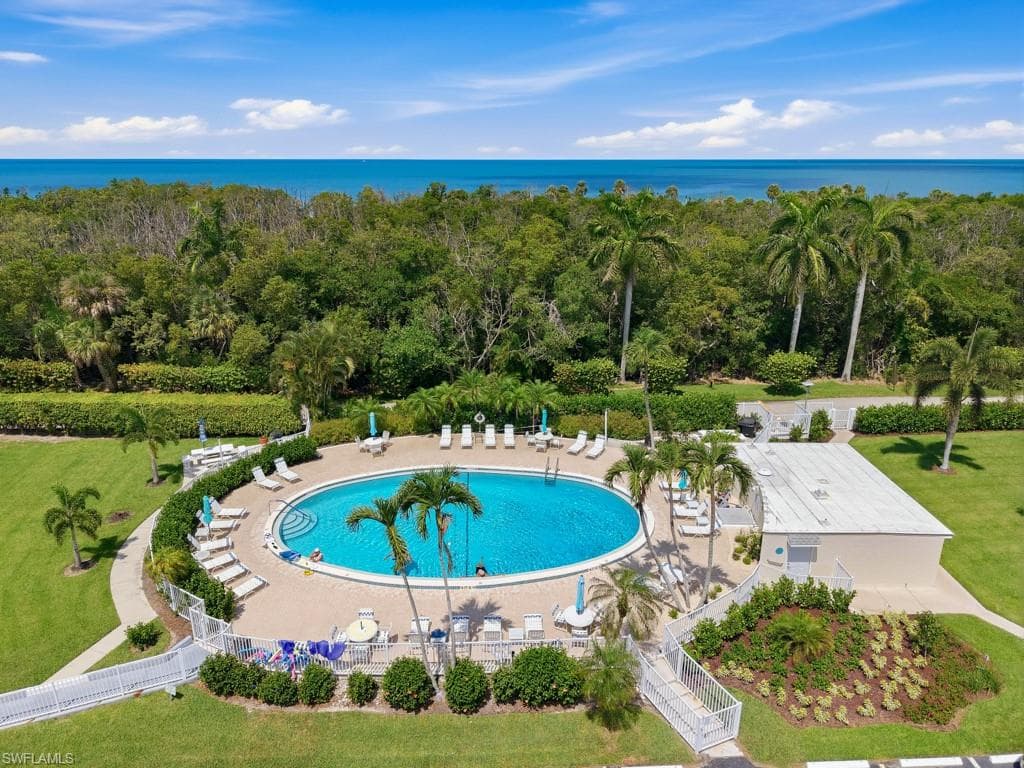 Pool for 1 and 3 Bluebill