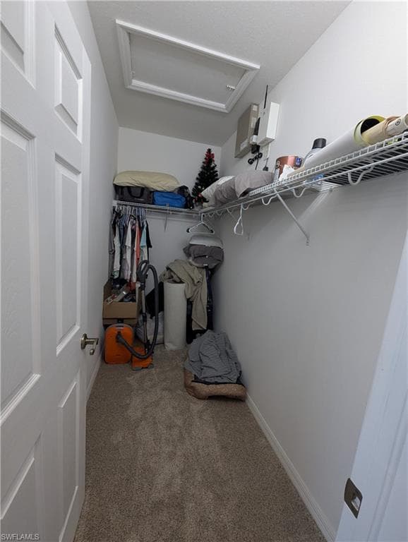Spacious closet featuring attic access and light colored carpet