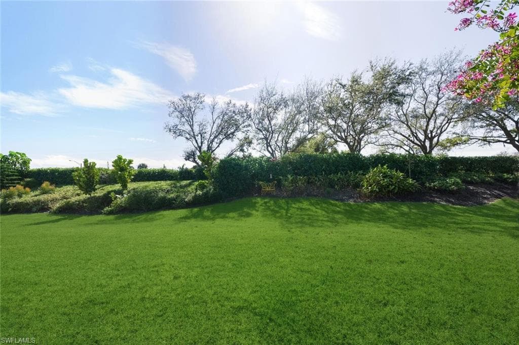 View of grassy yard