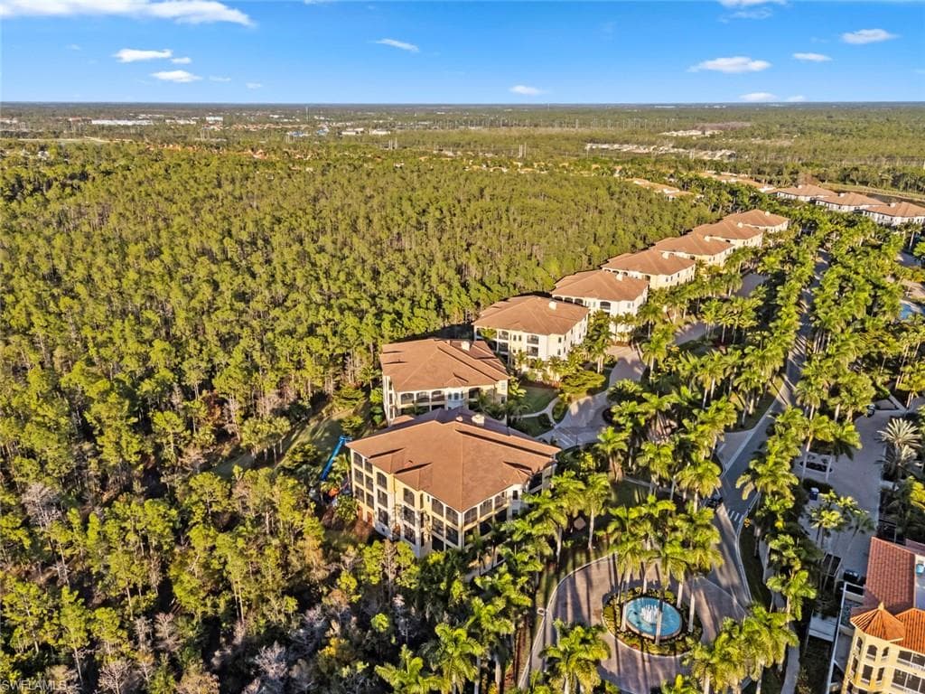 Bird's eye view of a forest